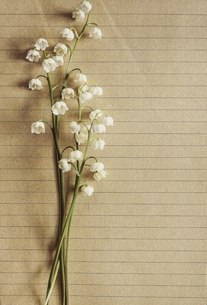 lily-of-the-valley-plant